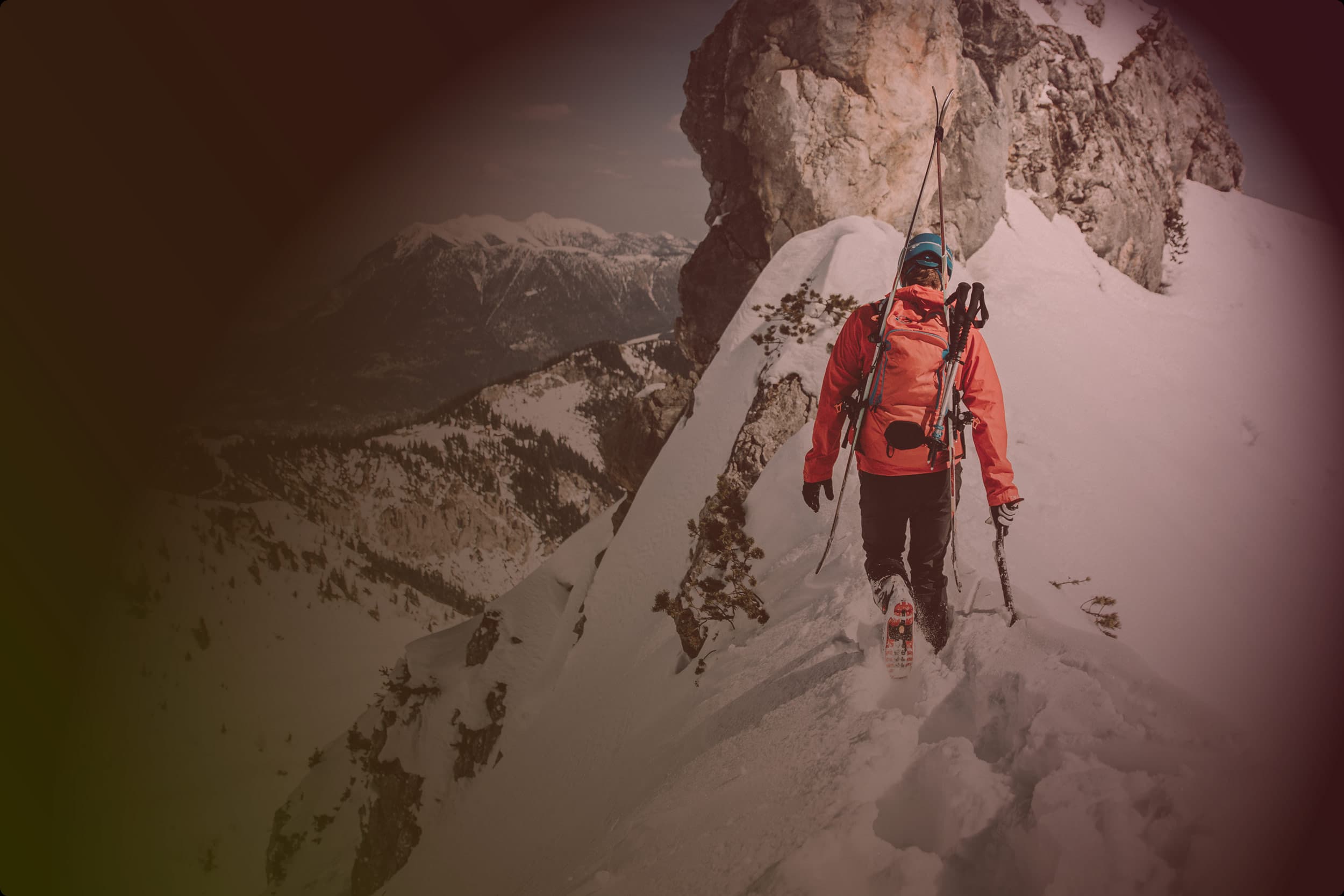 mountain executive search business